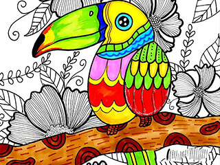 我爱画画线描《树上的大嘴鸟》儿童绘画教程