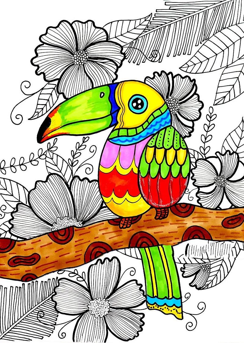 树上的大嘴鸟儿童画