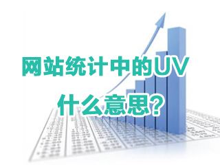 网站统计中的UV是什么意思？