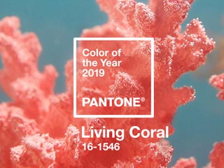 2019年潘通年度流行色「活力珊瑚橙」